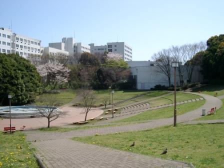 University ・ Junior college. Yokohama National University (University of ・ 1446m up to junior college)