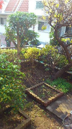Garden. Day good garden