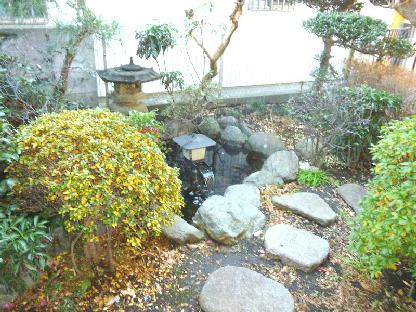 Garden. It is the garden there is a pond