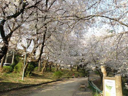 park. 963m to Shinohara orchards