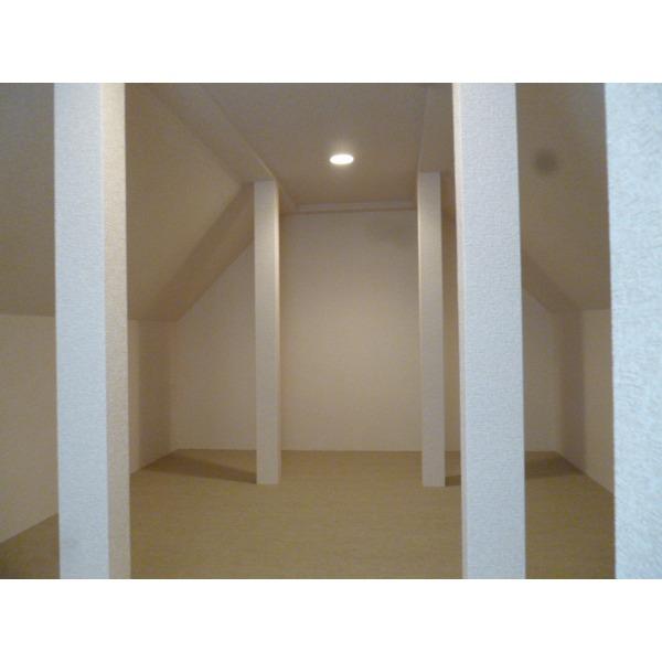 Other introspection. attic