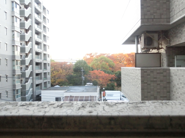 View. Entrance front of the scenery. Trees of the Kanagawa park.