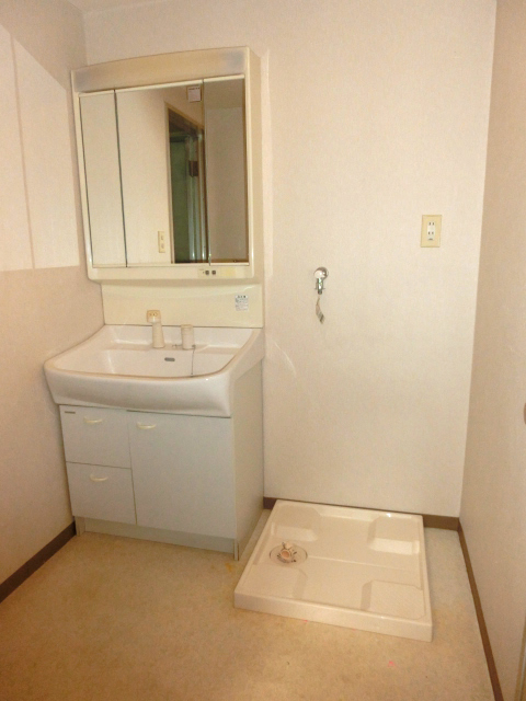Washroom. Washroom are spacious.