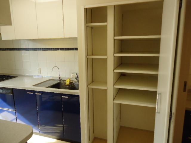 Kitchen. The kitchen is next to you there is a storage