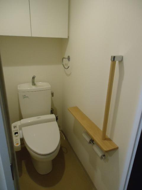 Toilet. Indoor (January 2014) Shooting