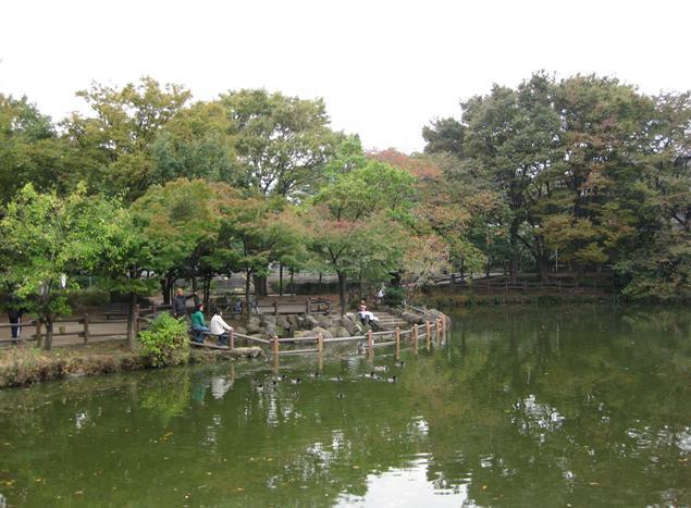 park. 1300m until Kikuna pond park