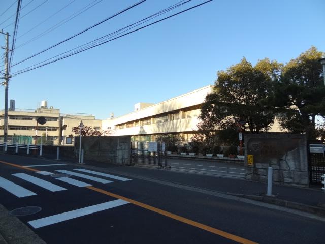 Junior high school. 552m to Yokohama Municipal Matsumoto junior high school