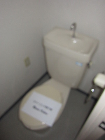 Toilet. Toilet