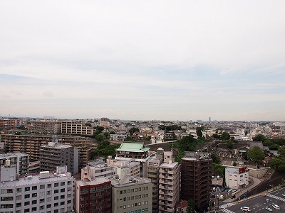 View. View from 1902 No.