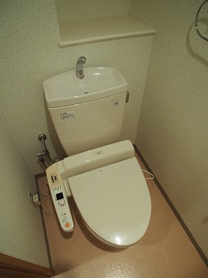 Toilet. Bidet with photos is another room