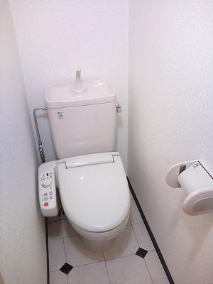 Toilet. Toilet with shower