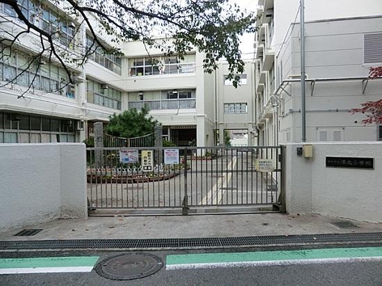 Primary school. Yokohama 800m to stand Kohoku Elementary School