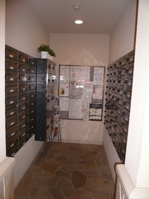 Entrance. Set post and courier box