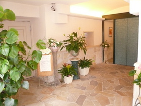 Entrance. Welcomes the flowers and ornamental plants