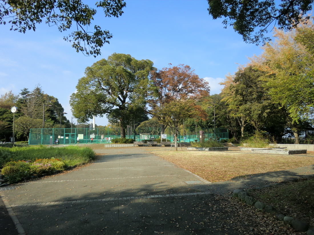 Other. Mitsuzawa park