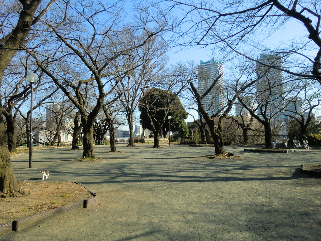 park. 557m until Kogaya park (park)