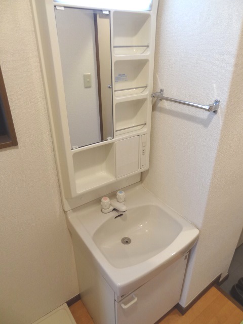 Washroom. Bathroom vanity
