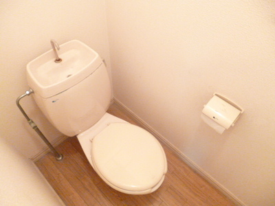 Toilet. Popular separate type!
