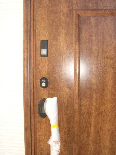 Entrance. Entrance door of stylish texture.