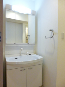 Washroom. Convenient Vanity in the morning of preparation