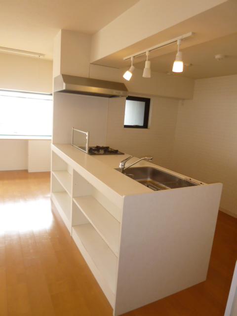 Kitchen. Counter systems with a kitchen (with built-in dishwasher)