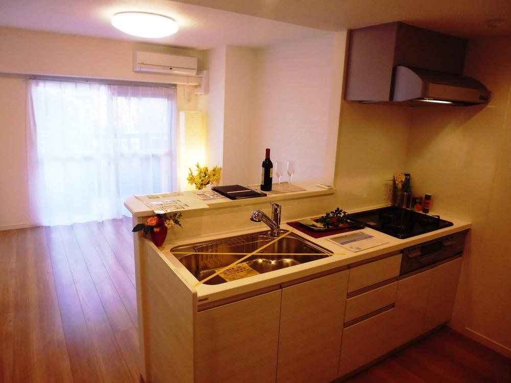 Kitchen. Indoor shooting