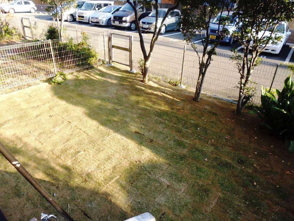 Garden. Local shooting
