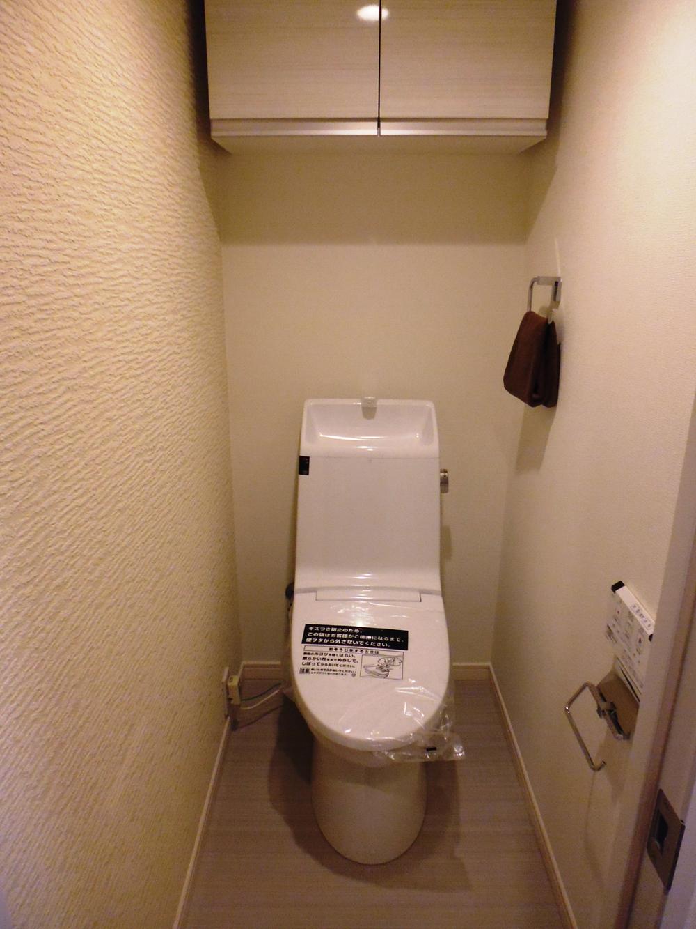 Toilet. Indoor shooting