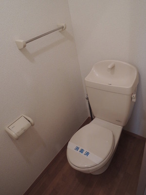 Toilet. Toilet reversal photographic
