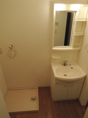 Washroom. Washbasin & Laundry Area reversal photographic