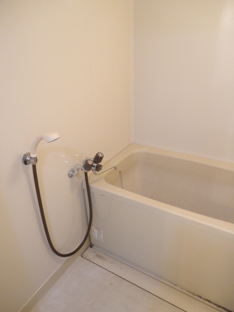 Bath. Bathroom with reheating!