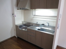 Kitchen. kitchen, Two-burner gas stove installation Allowed