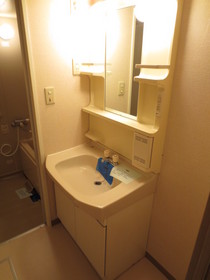 Washroom. Bathroom vanity