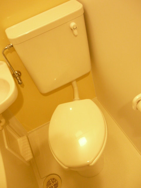 Toilet. Toilet