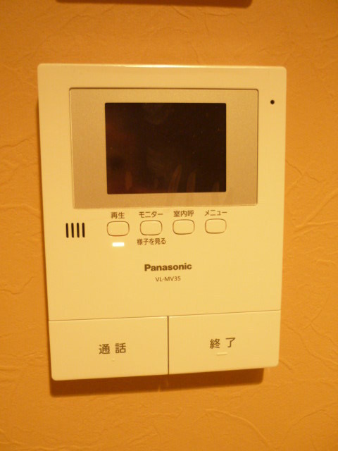 Security. Monitor with intercom