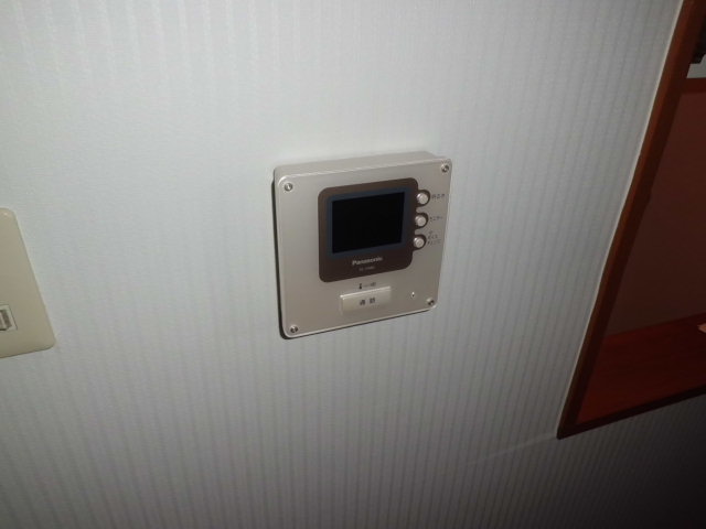 Security. Is a TV monitor Hong peace of mind
