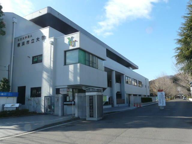 Other. 1000m to Yokohama City (Other)