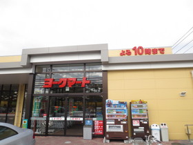 Supermarket. York Mart Mutsuura store up to (super) 140m