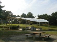 Other. You can Uminokoen BBQ and shellfish gathering