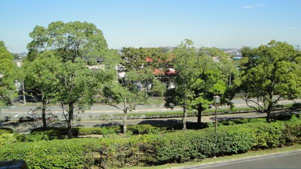 View photos from the dwelling unit. Good living environment with green!