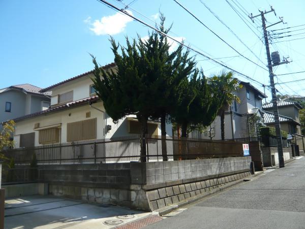 Local land photo