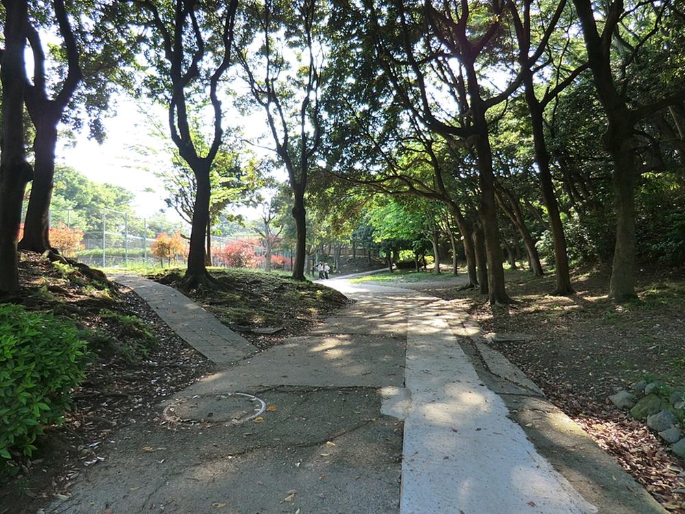 park. Autumn leaves in the 600m fall to Tomioka comprehensive park. Park where you can enjoy the look of each season, such as cherry blossoms in spring