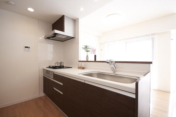 Kitchen. Counter kitchen with natural light