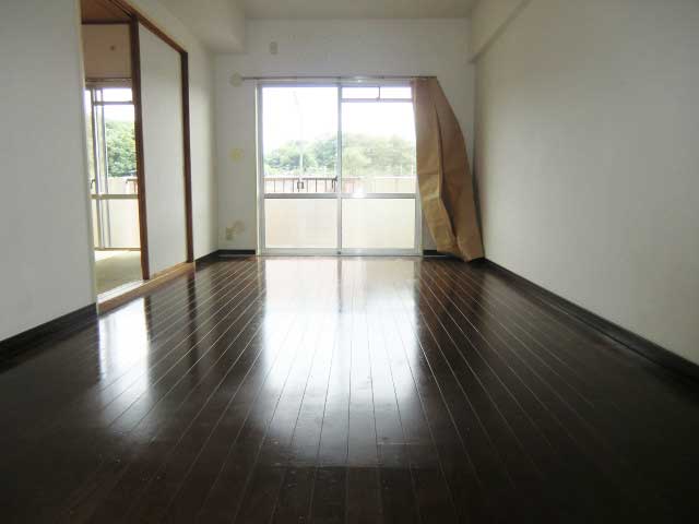 Living and room. Living