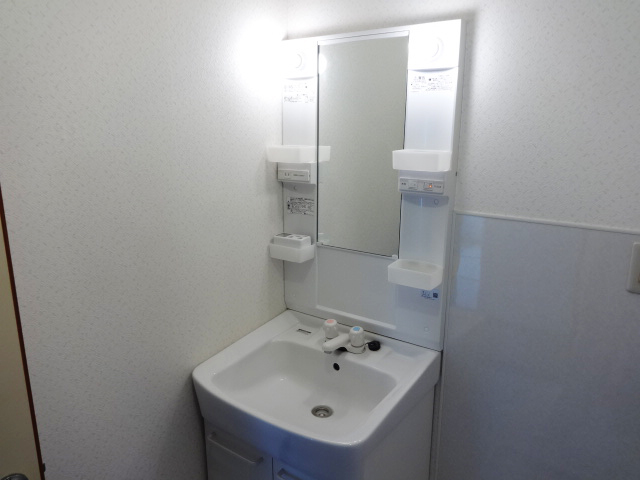 Washroom. Separate vanity (* ^ _ ^ *)