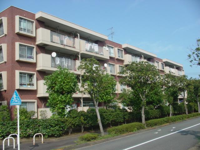 Local appearance photo. Local (11 May 2013) Shooting