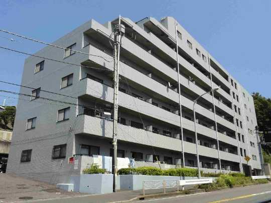 Local appearance photo. Mansion appearance (1)