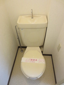 Toilet. Toilet