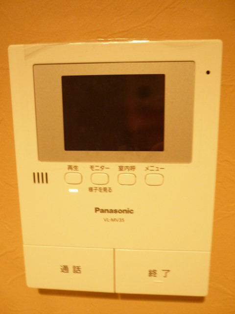 Security. Monitor with intercom