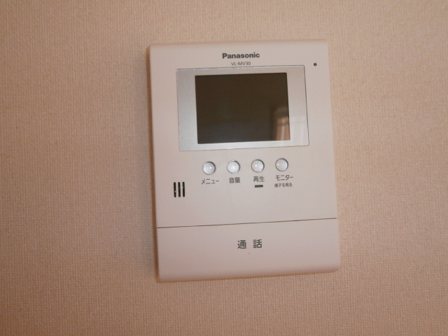 Security. Monitor with intercom